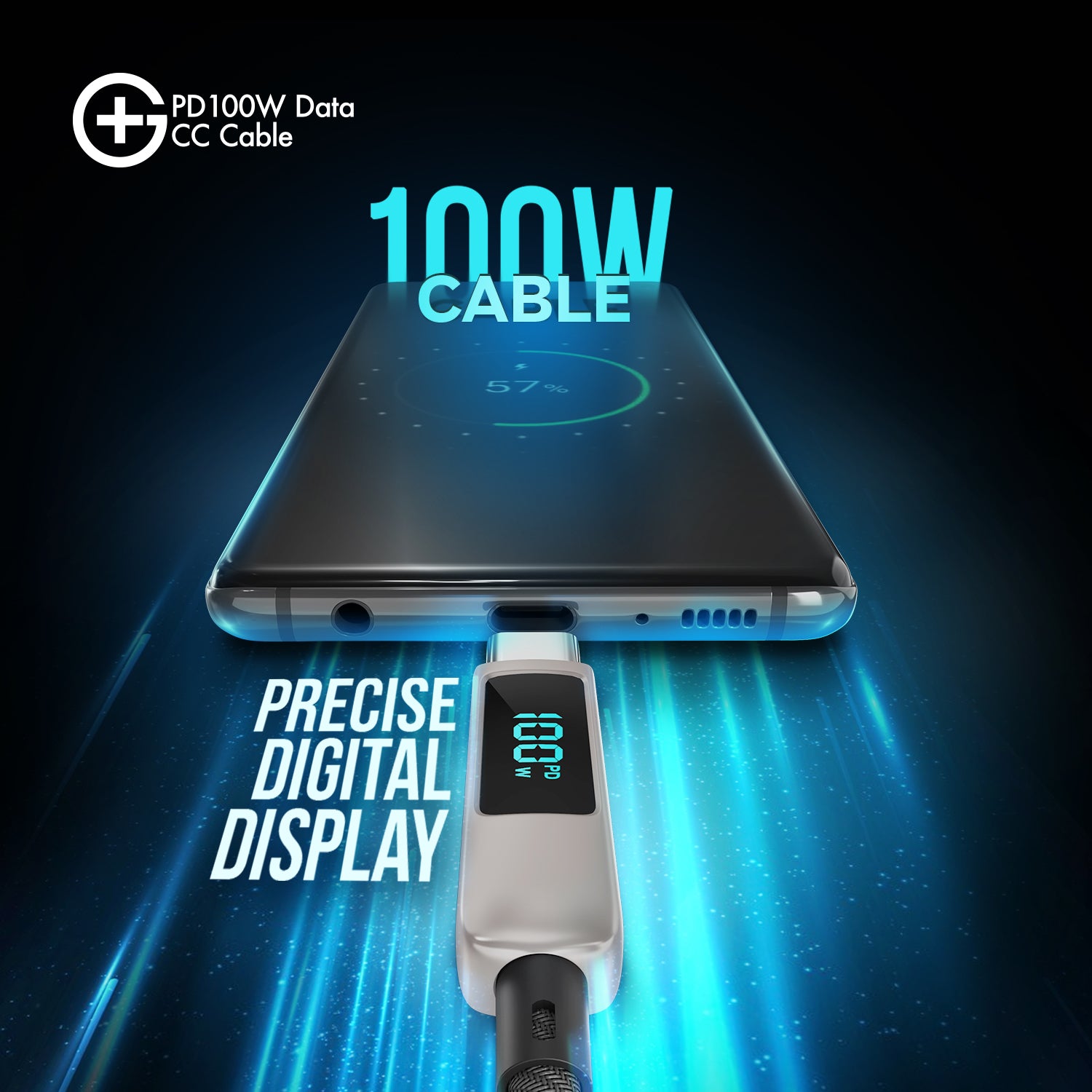 G+ PD Data CC Cable - 100W (GOLD)