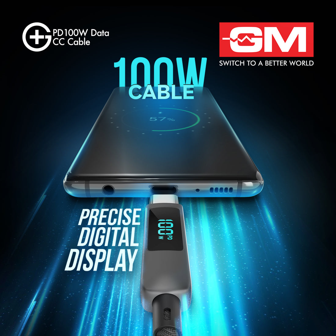 PD 100W DATA CC CABLE With DIGITAL DISPLAY (Metallic Grey)