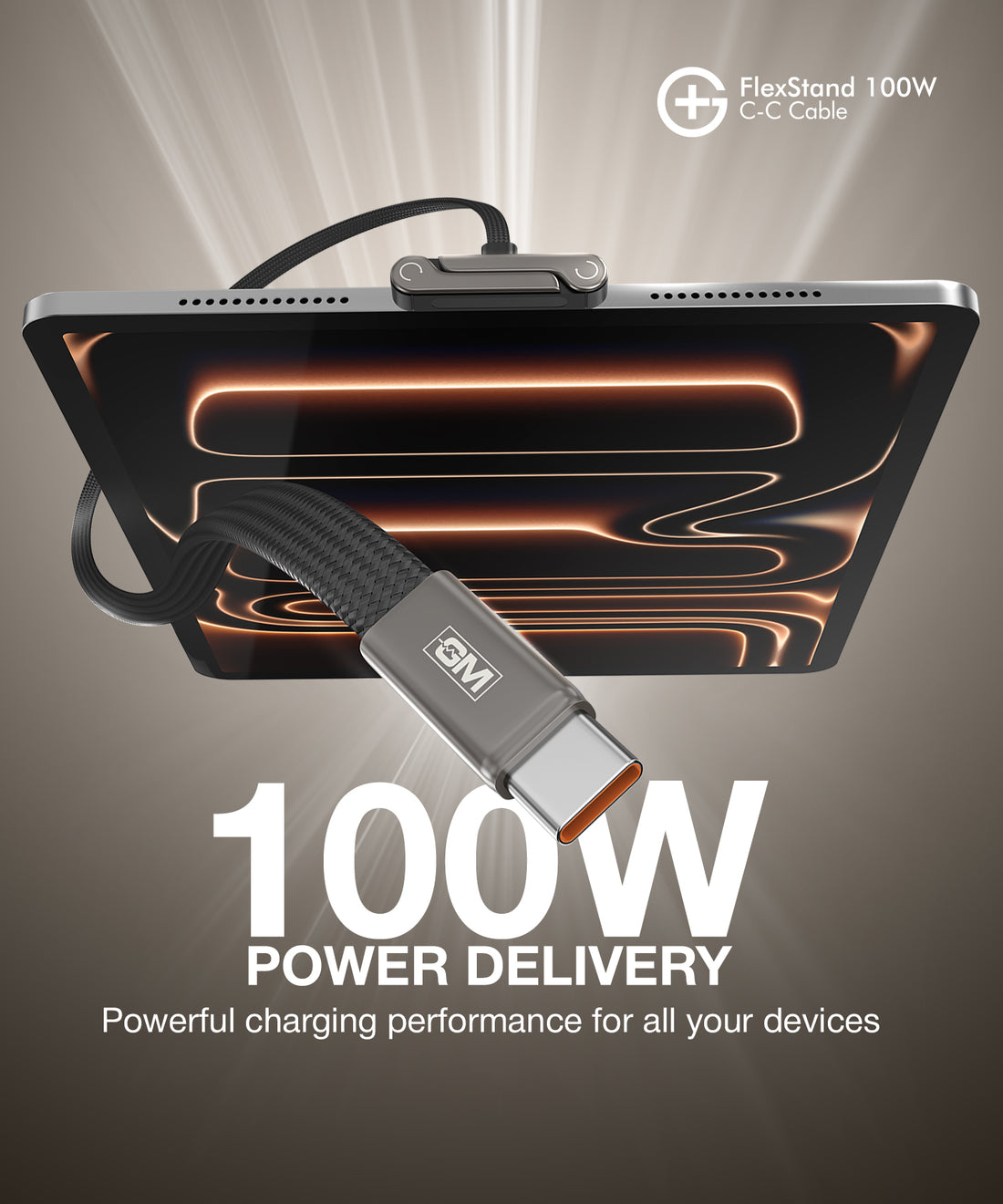 GM G+ FlexStand 100W C-C Cable (Black)