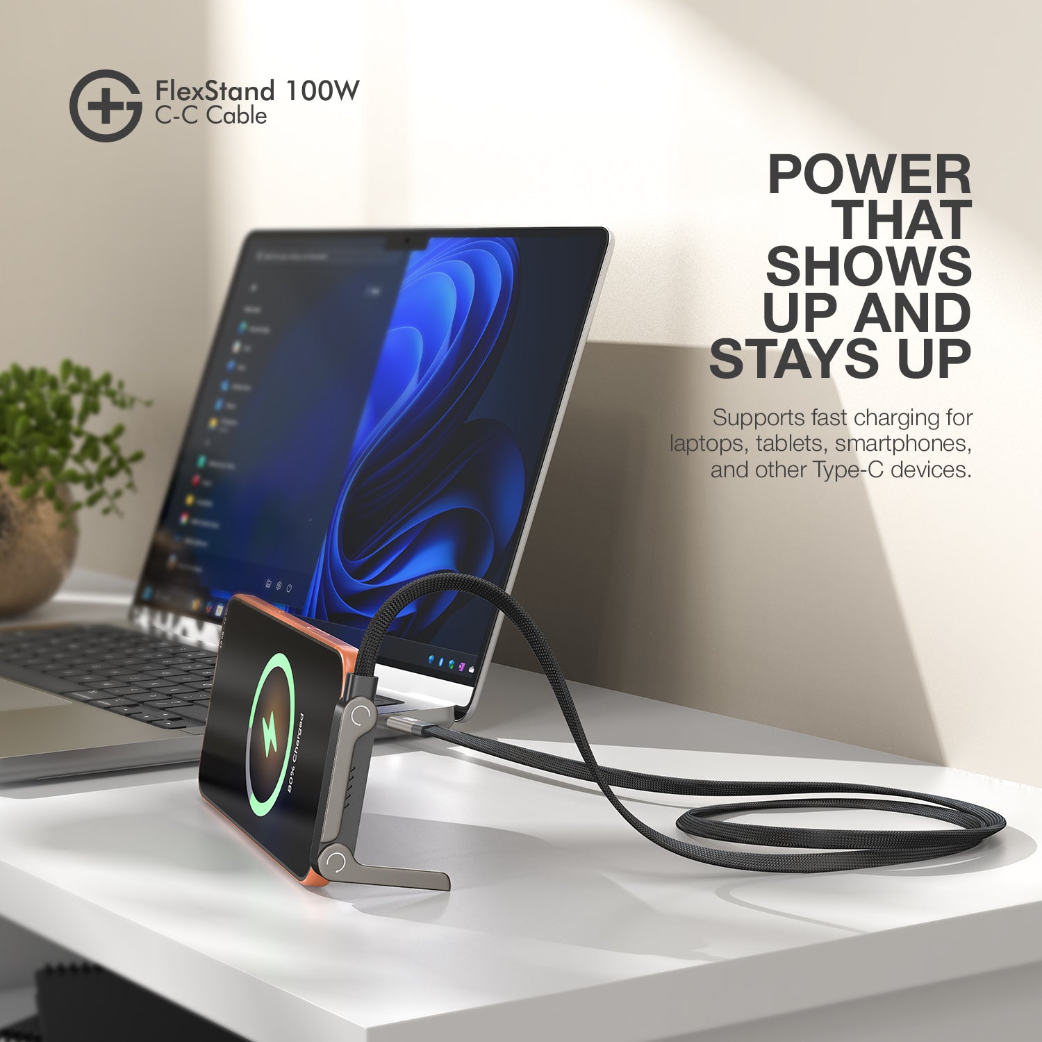 GM G+ FlexStand 100W C-C Cable (Black)