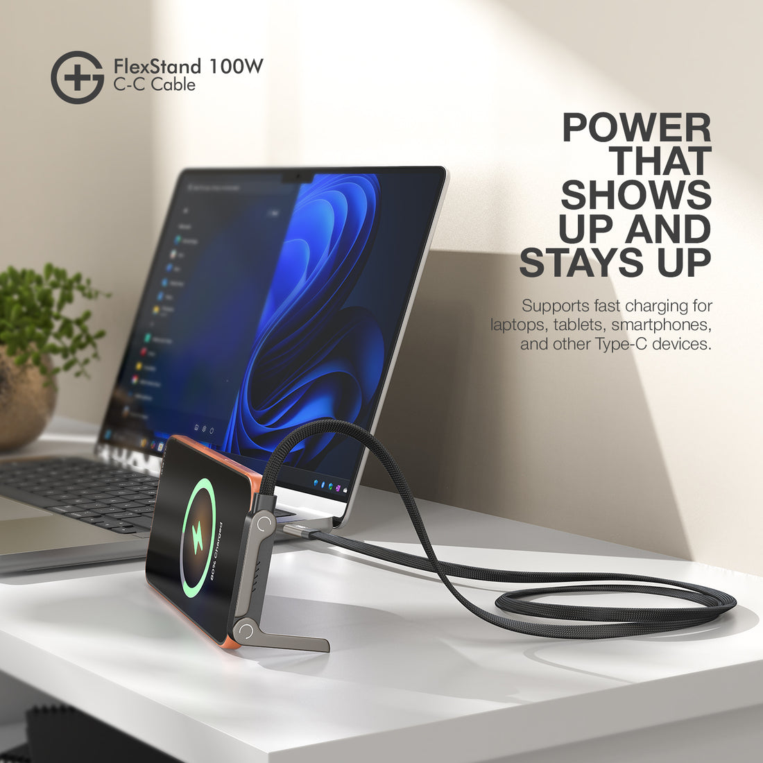 GM G+ FlexStand 100W C-C Cable (Black)