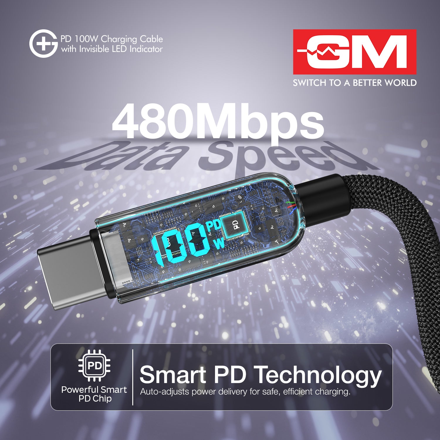 PD 100W Invisible LED Indicator C-C Cable